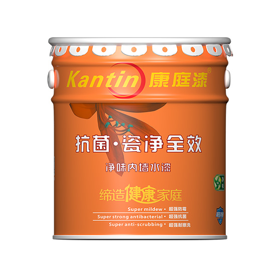 康庭 抗菌瓷凈全效.jpg